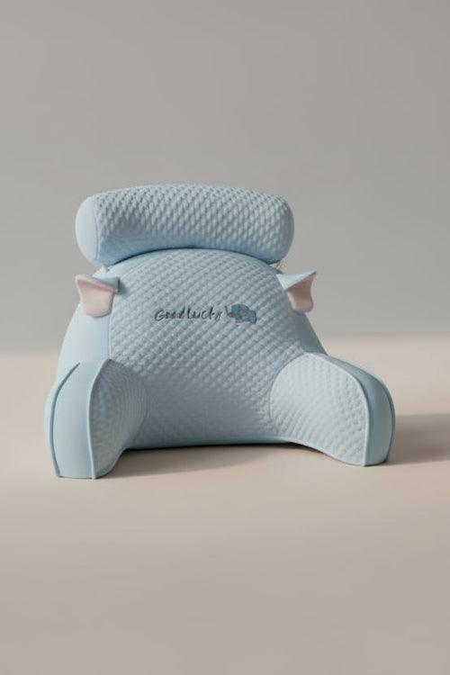 Light blue pillow with cartoon pig design and 'Good Lucky' text on a surface.